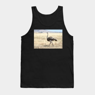 Female Ostrich,  Serengeti, Tanzania Tank Top